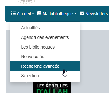 menu recherche avancée